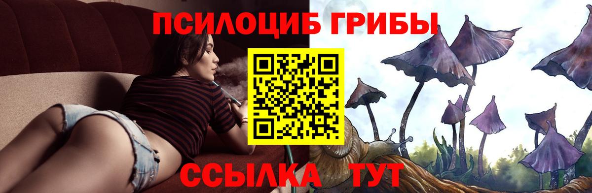 Псилоцибиновые грибы мухоморы Кудымкар